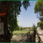 Activists Stage Tree Sit-in to Halt Arizona Border Wall