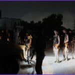 Seven Police Officers Killed in Northern Pakistan Checkpoint Attack
