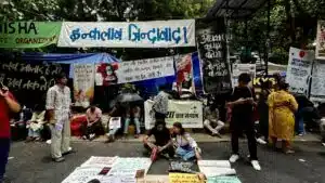 Youth Movement Challenges India’s System Under Cockroach Banner
