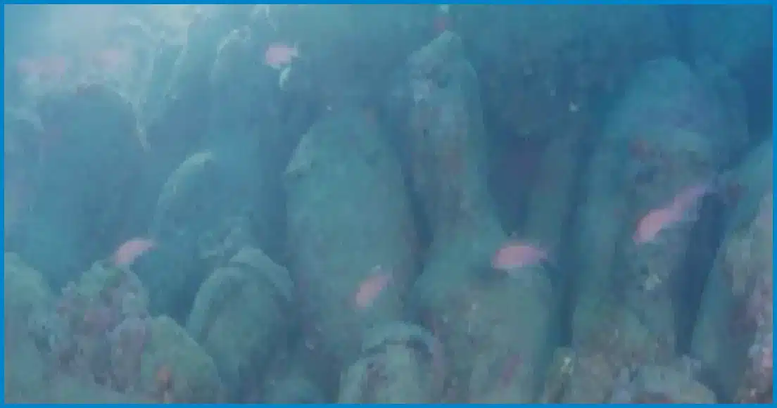 Roman Shipwreck Laden With Ancient Wine Jars Discovered Off Sicily