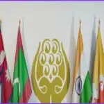 Smaller South Asian Nations Push to Revive SAARC Alliance