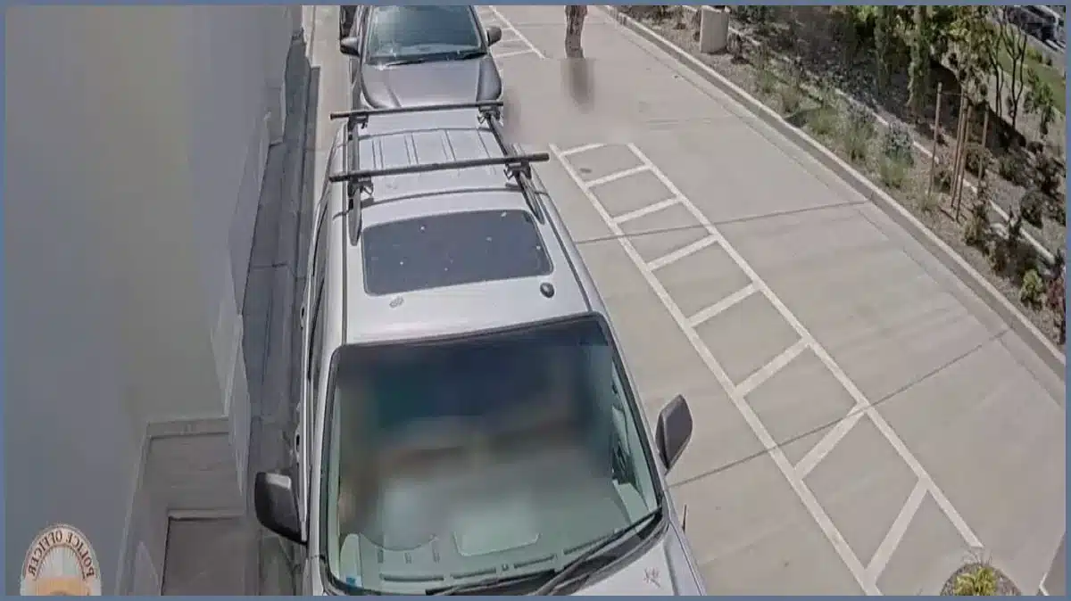 Video Details Deadly Idaho In-N-Out Shooting and Citizens’ Bravery