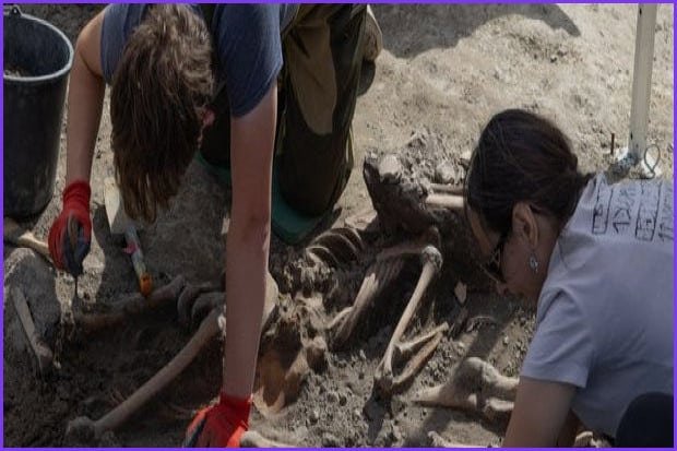 WWII Massacre Remains Exhumed in Ukraine Amid Polish Rift