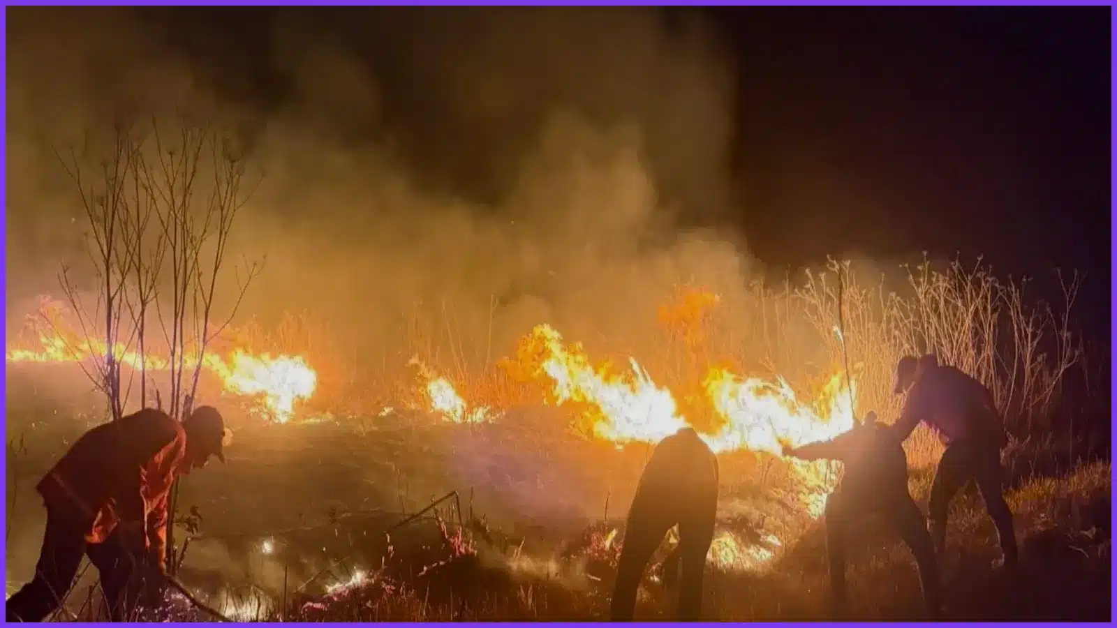 Wildfire at Indonesia’s Mount Bromo Forces National Park Shutdown