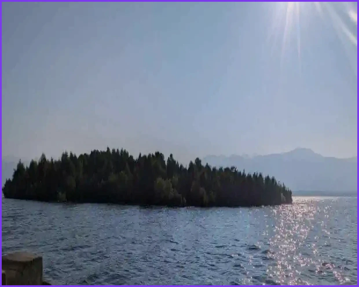 Floating Forest Island Confounds Watchers in Western Canada