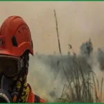 Toxic Haze From Indonesian Wildfires Blankets Southeast Asia