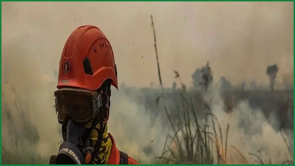 Toxic Haze From Indonesian Wildfires Blankets Southeast Asia