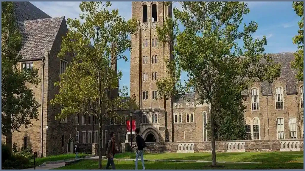 Cornell Fraternity Rape Accuser ‘Under Siege’ Online, Lawyer Says